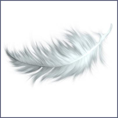 Relleno de Pluma