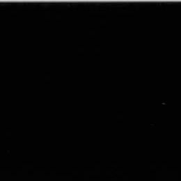 89643 NEGRO